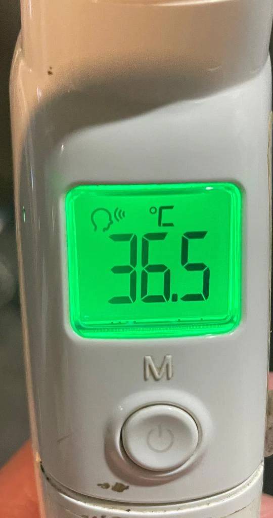 今日の体温...｡