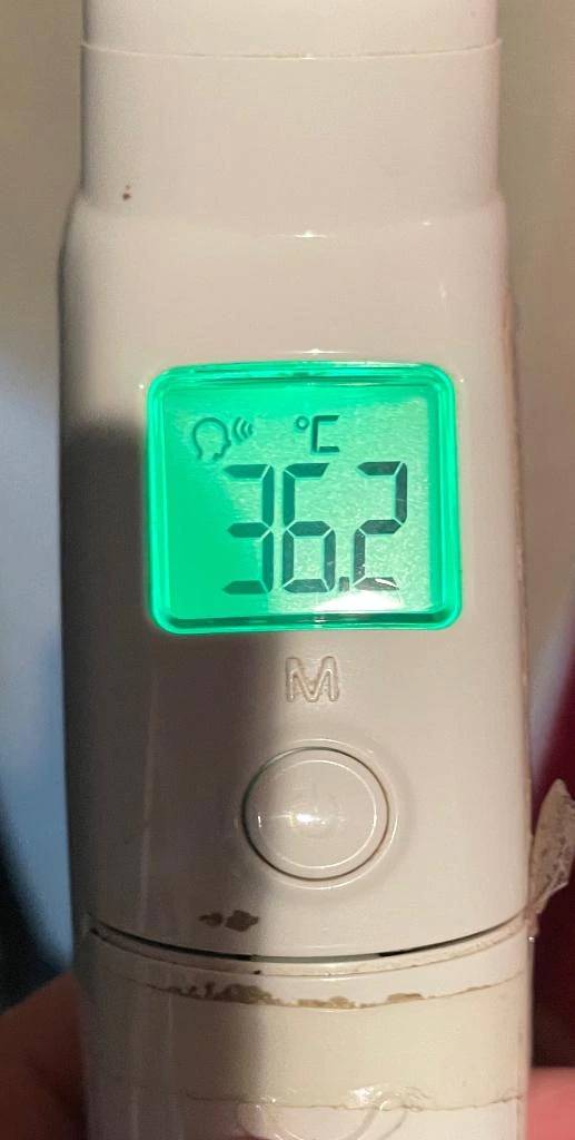 今日の体温...｡