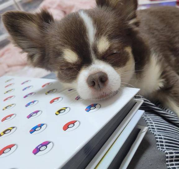 ☆今日のお題③☆