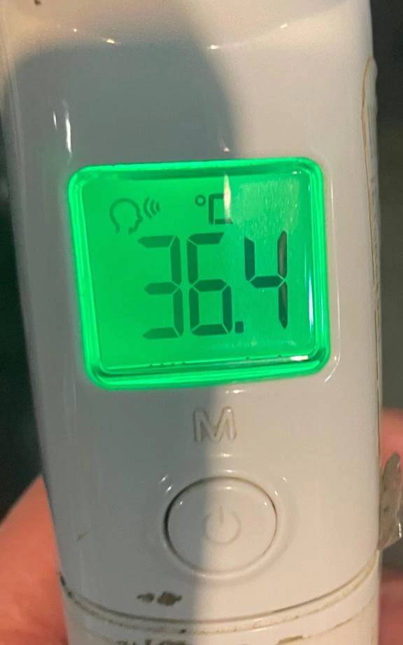 今日の体温...｡