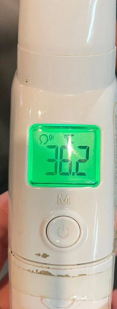 今日の体温...｡