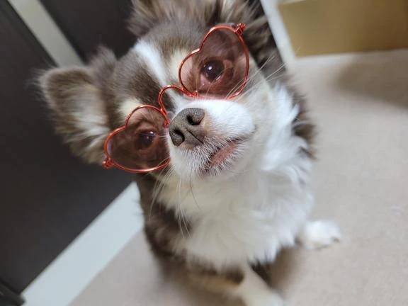 みゆき【おもてなし１２０％美女】