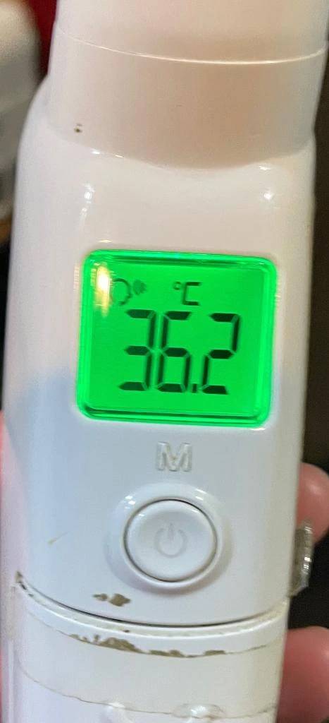 今日の体温...｡