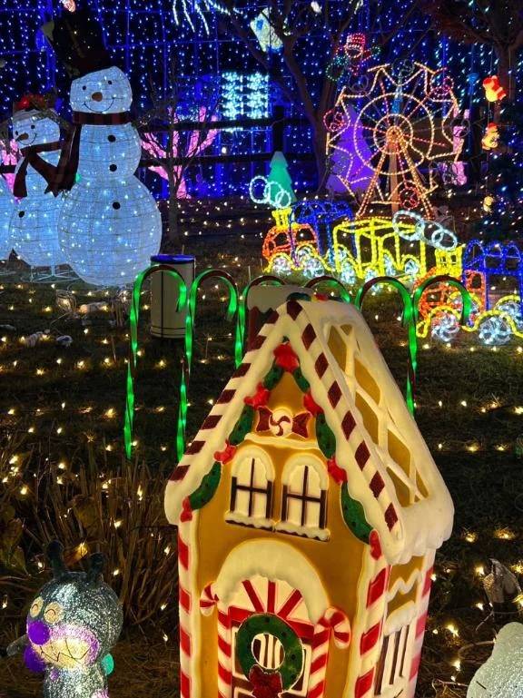 邦楽と洋楽どちらが好きですか？？