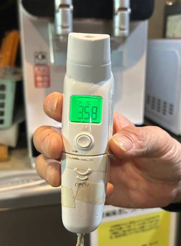 出勤しました🐰