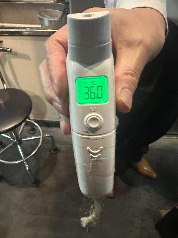 出勤しました(*^^*)