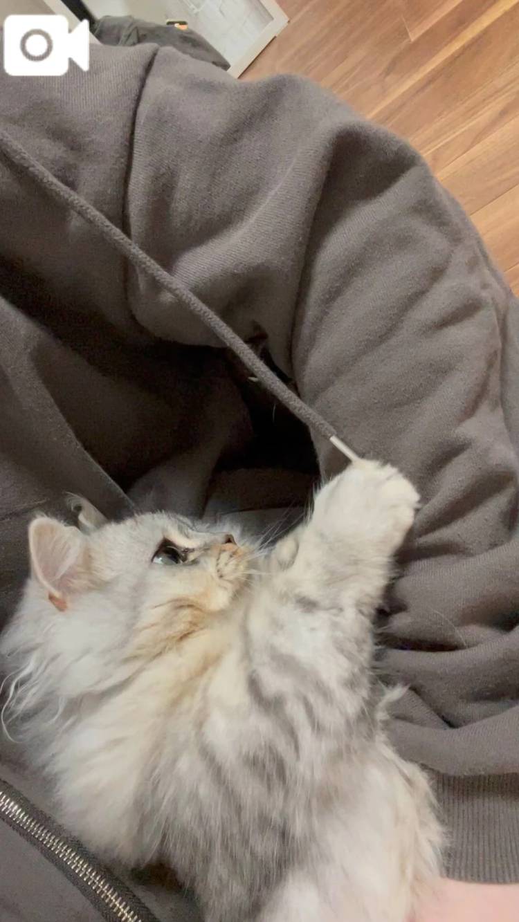 明日も(՞_  ̫ _՞)ᐝ ​​​