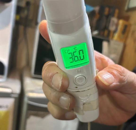 出勤しました🐰