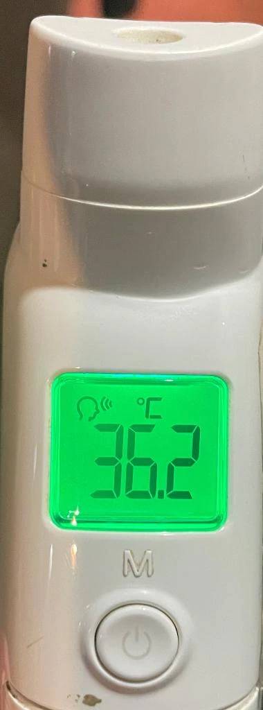 今日の体温...｡