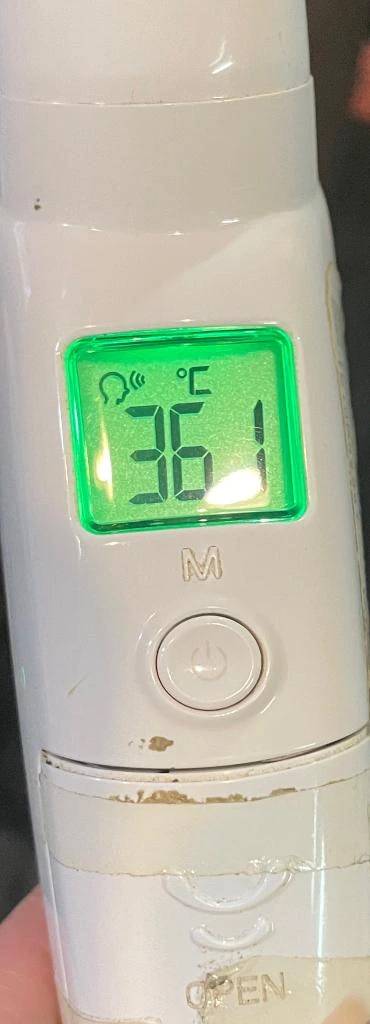 今日の体温...｡