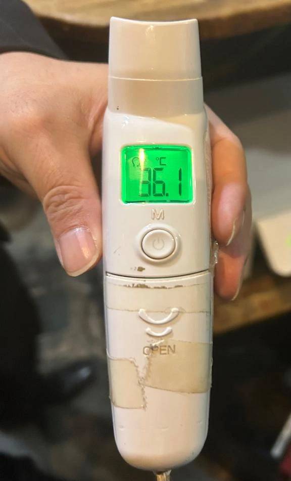 出勤しました🐰