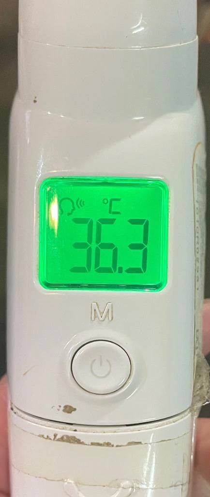 今日の体温...｡