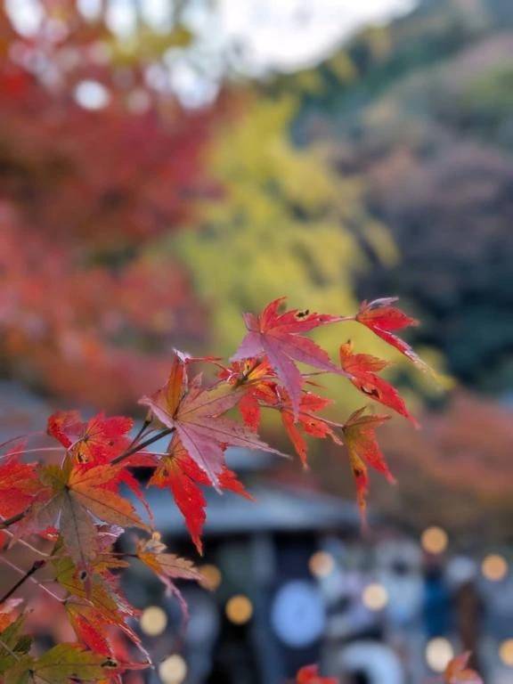 ✨️✨️✨️✨️✨️