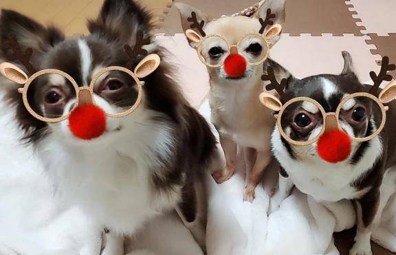 ☆今日のお題②☆