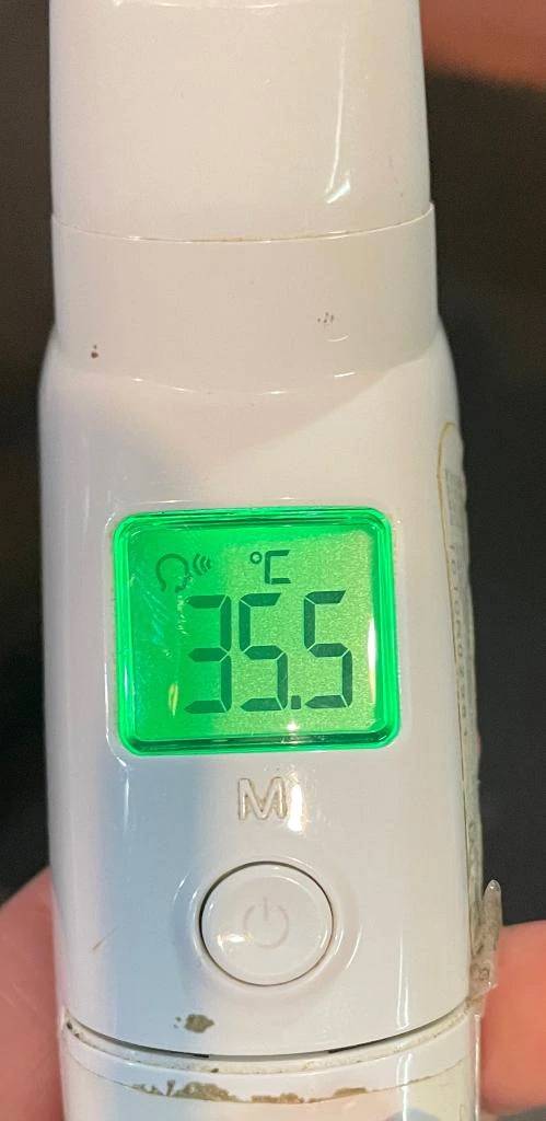 今日の体温...｡