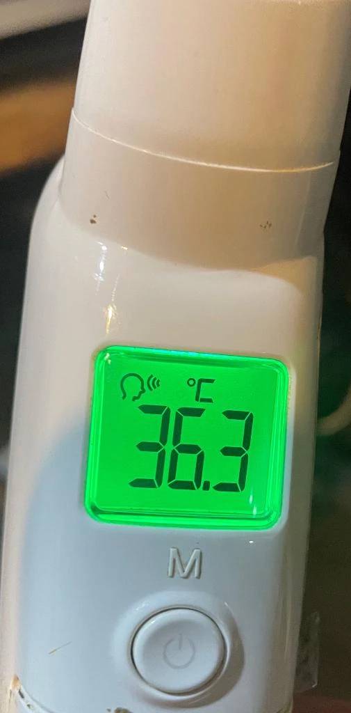 今日の体温...。