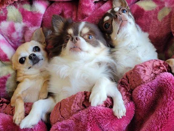 みゆき【おもてなし１２０％美女】