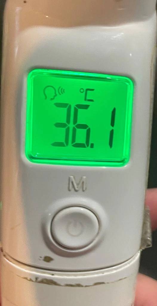 今日の体温...。