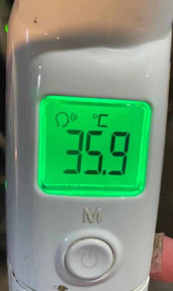 今日の体温...。