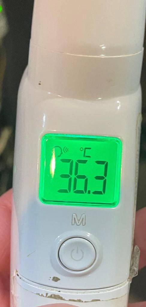 今日の体温...。