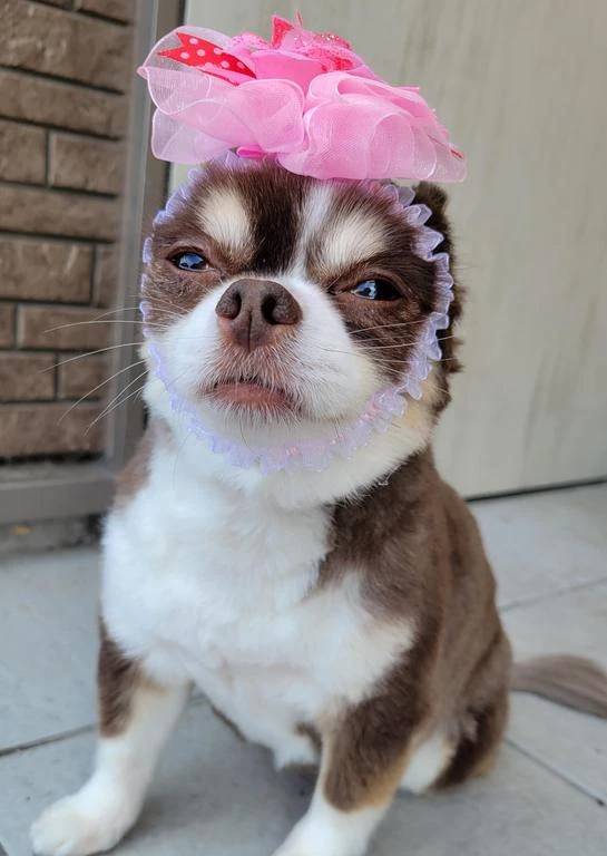 ☆今日のお題③☆