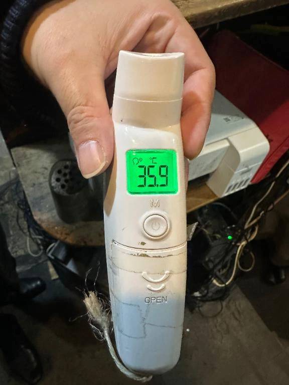 出勤しました🦔