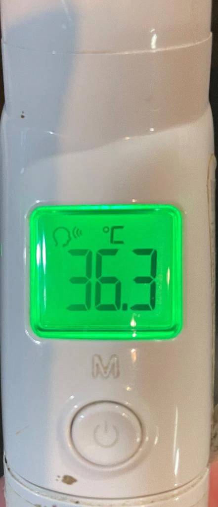 今日の体温...｡