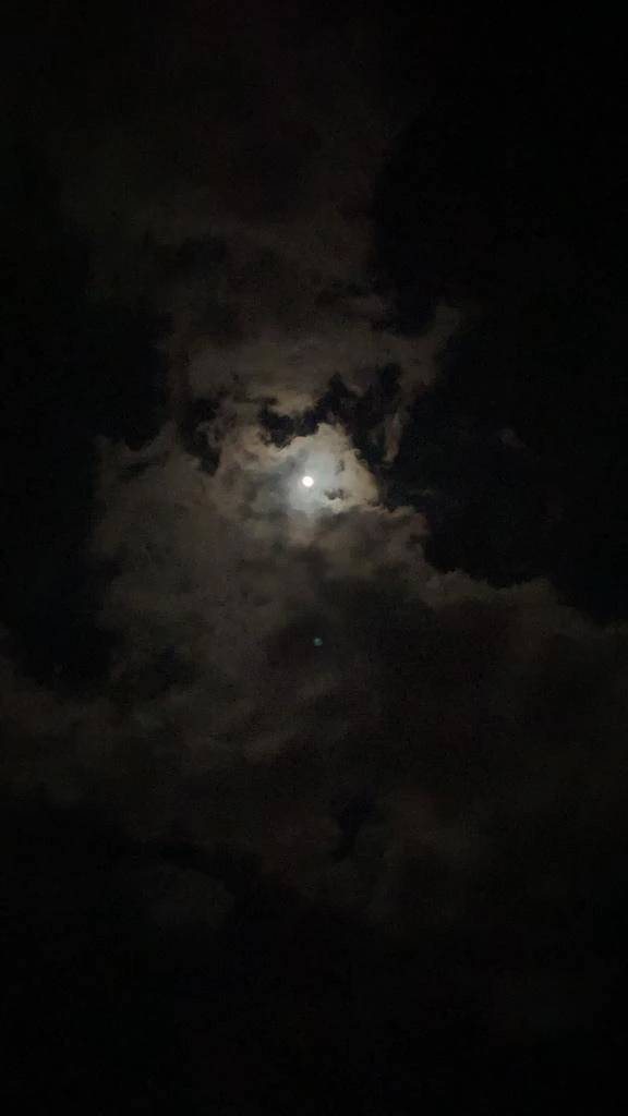 今日もありがとう🌙