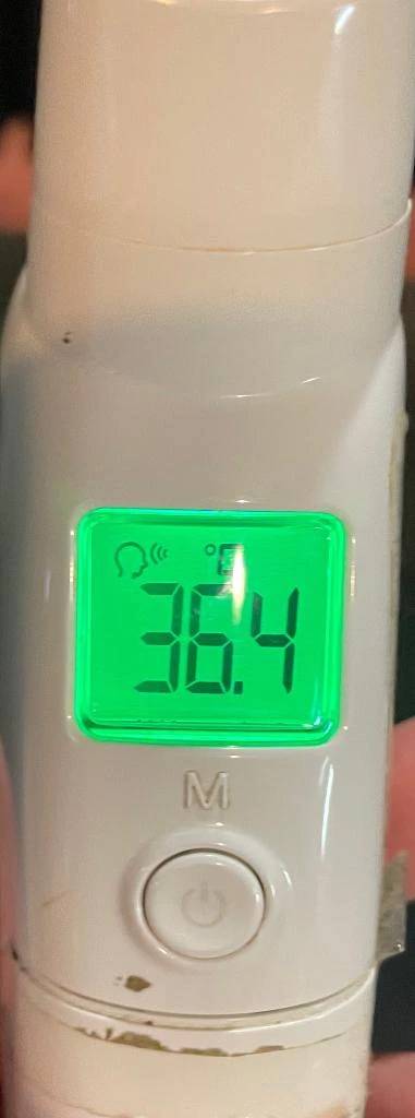 今日の体温...｡