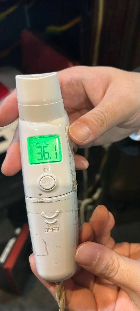 出勤しました🐰