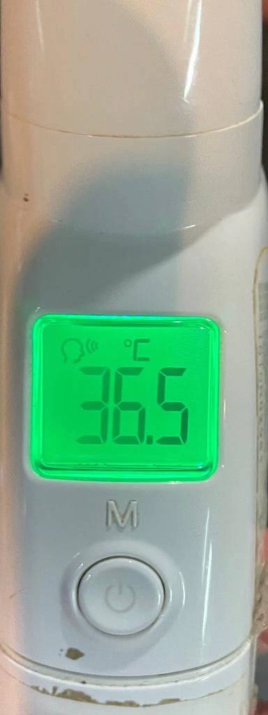 今日の体温...｡