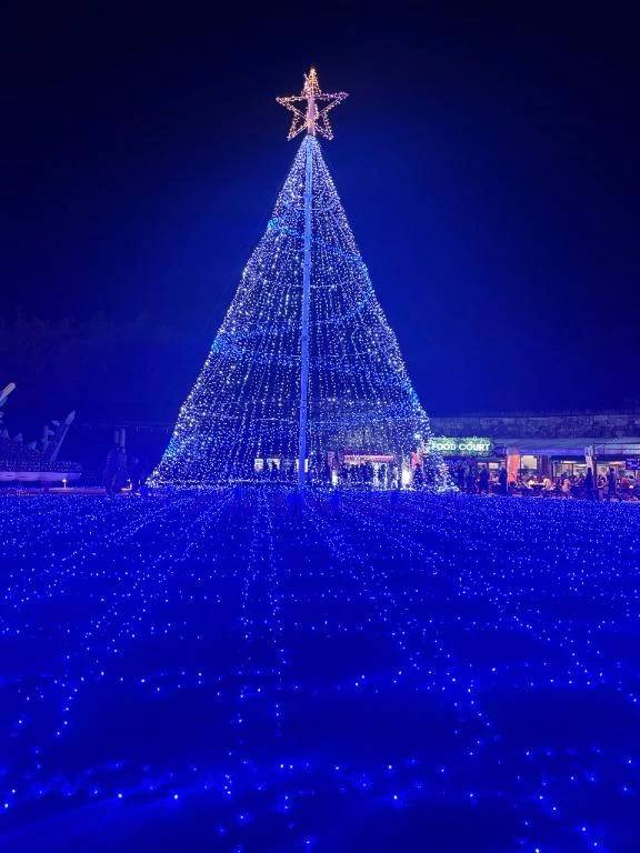 出勤しました(*^^*)