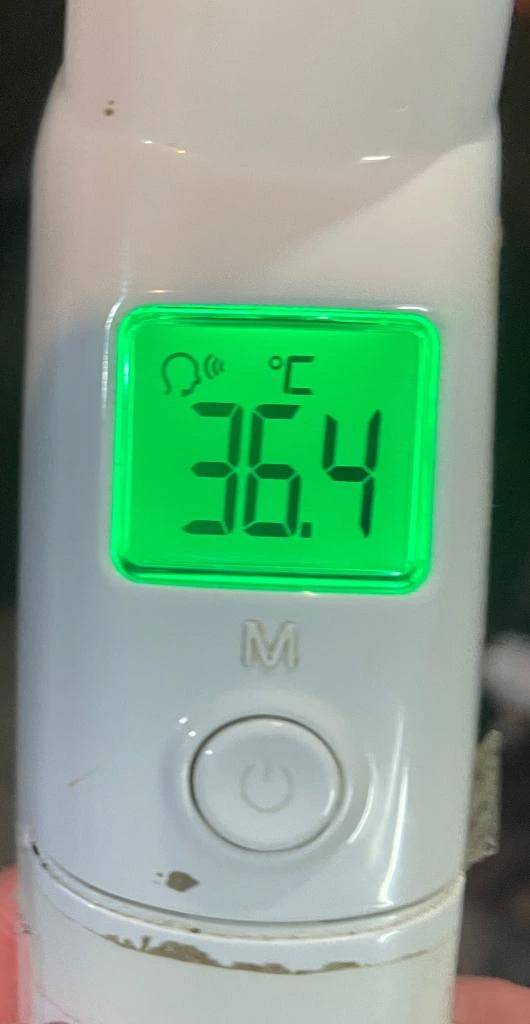 今日の体温...｡