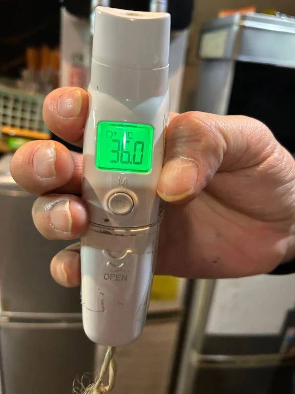 出勤しました🐰