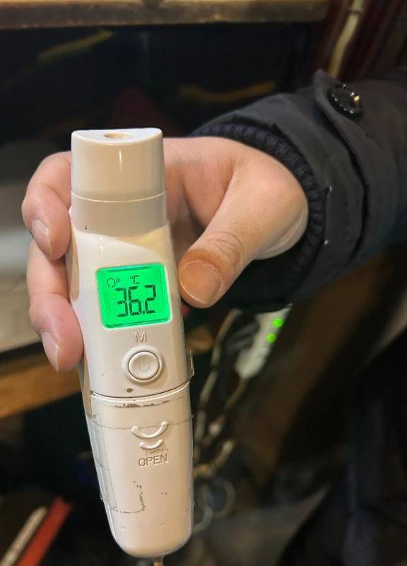 出勤しました🐰