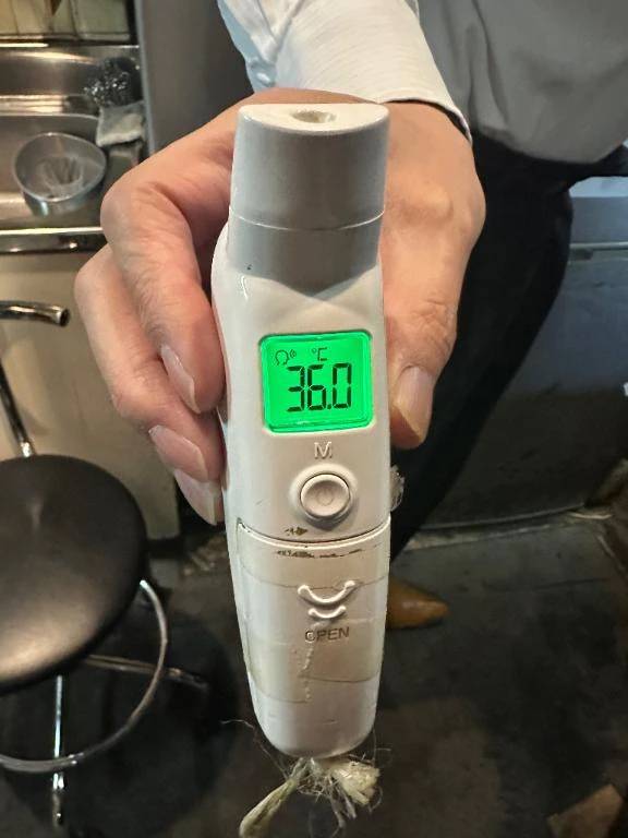 出勤しました🦖🐾