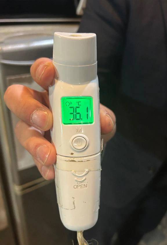 出勤しました🐰