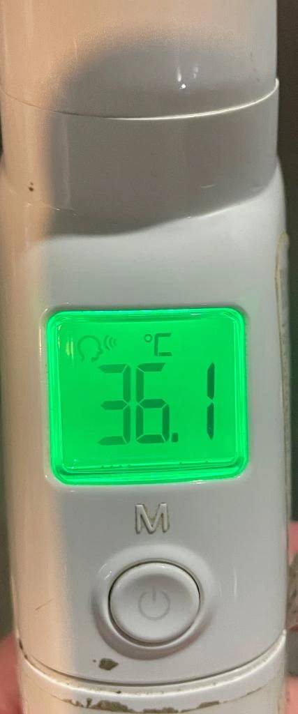 今日の体温...｡