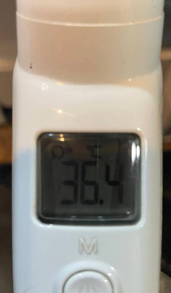 今日の体温...｡