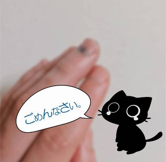 最後の最後でやっちゃっいました……