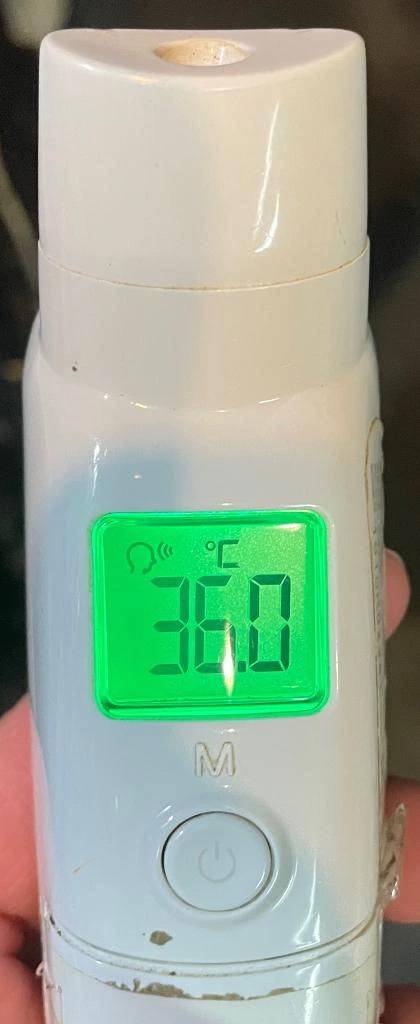 今日の体温...｡