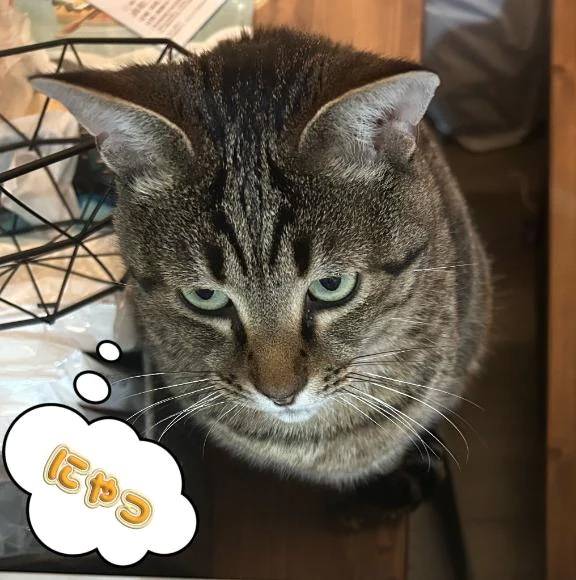 冬はお肌に来ますね🍑