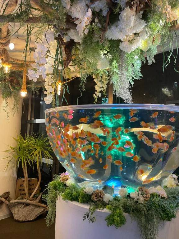 お題〜初夢みましたか？？