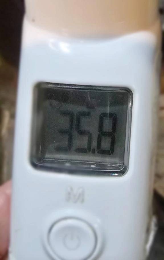 本日もよろしくです♡