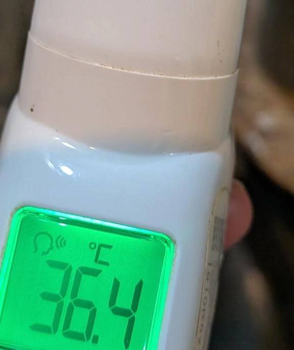 あけましておめでとうございます