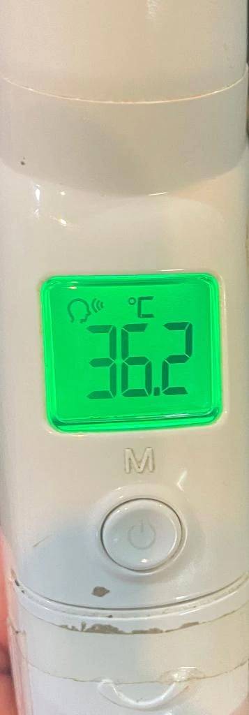 今日の体温...｡