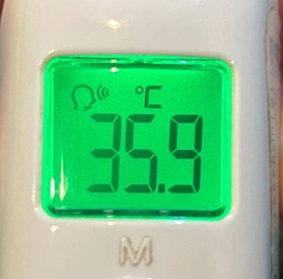 体温は正常です🌟