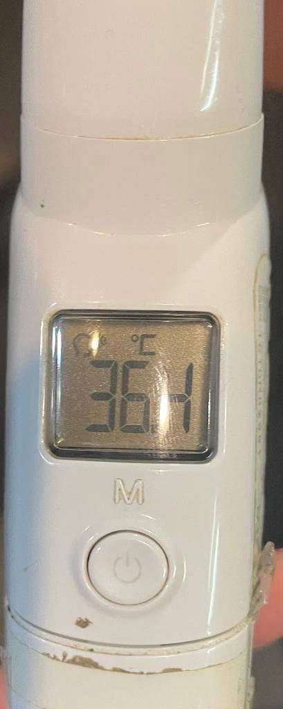 今日の体温...｡