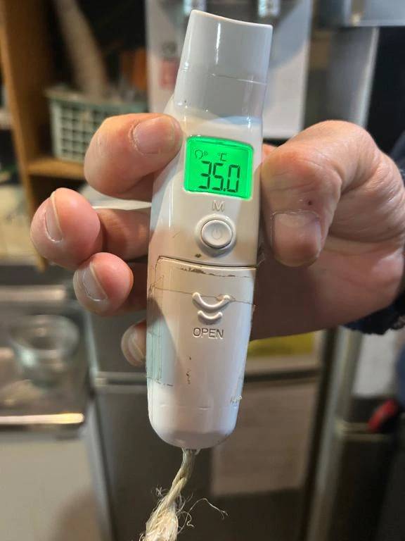 出勤しました🐰