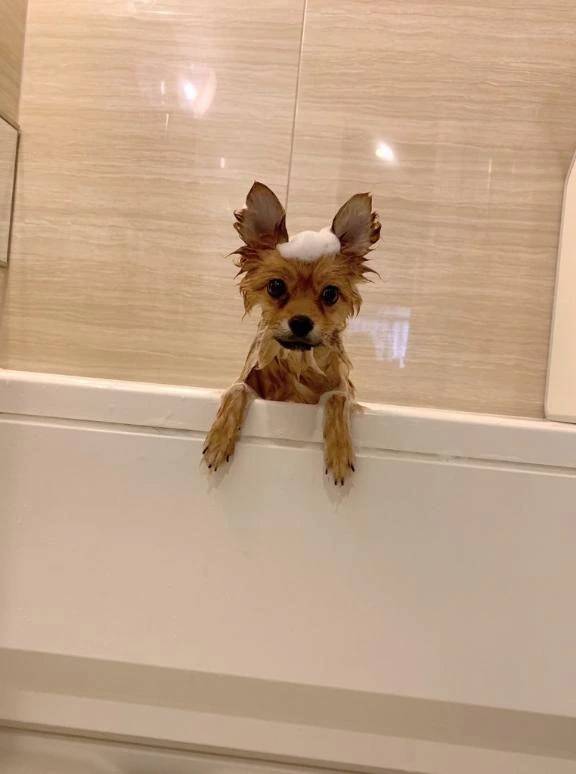 お題〜仕事中にやらかした大失敗！！